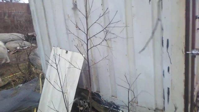 #утреннееутро 28 ноября. смотреть онлайн