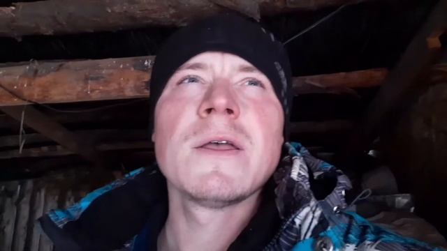 бюджетная стайка 11х5м #очень дешево#вдеревне