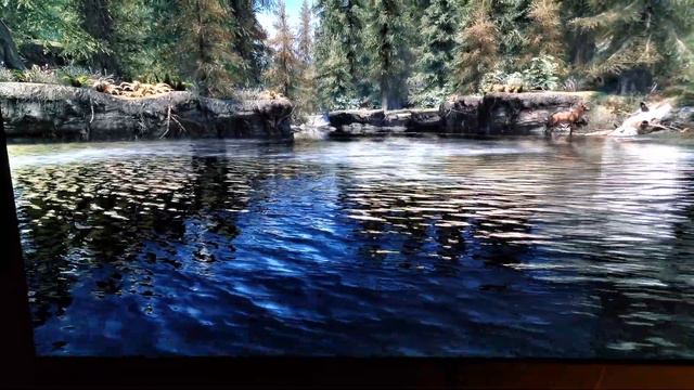 Skyrim SE on Xbox Series X from Bystander Perspective смотреть онлайн