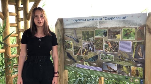 В краю вертлявой камышевки смотреть онлайн