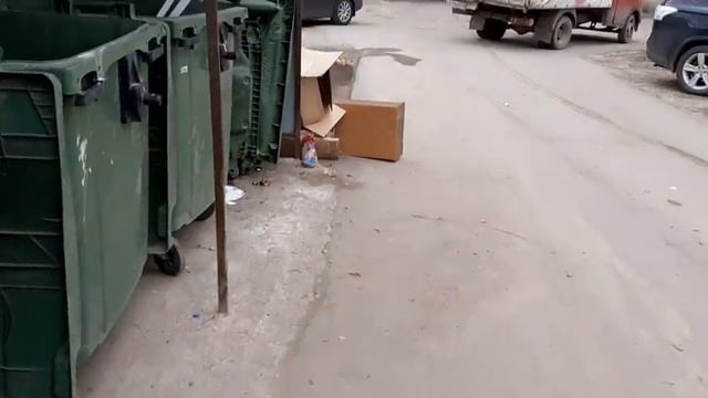 нашли ГОРУ КАРТОНА у магазина цветом, сколько ДЕНЕГ выкидывают цветочные магазины смотреть онлайн