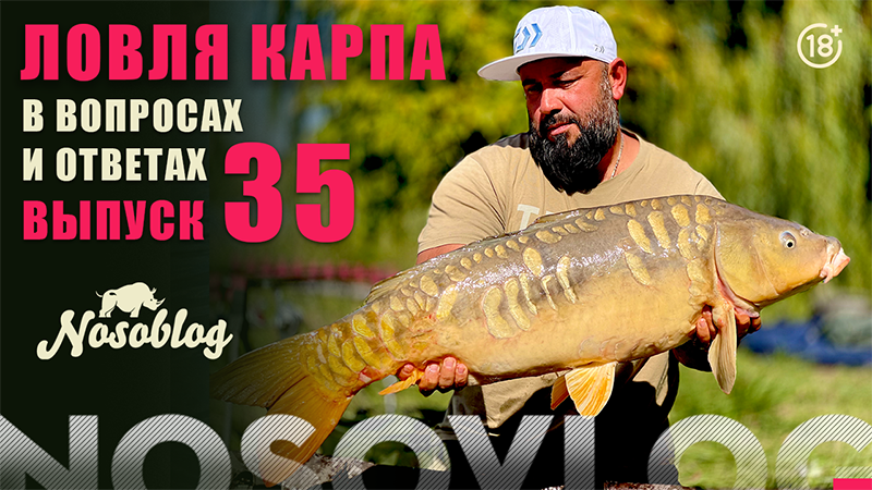 Карпфишинг в вопросах и ответах, выпуск 35, Колесников А. смотреть онлайн