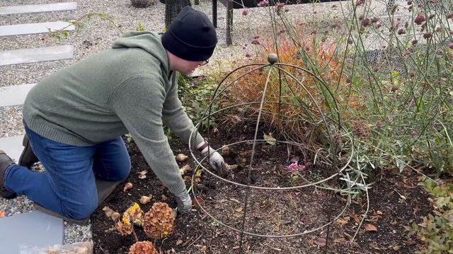 Planting ? FALL Bulbs for ? SPRING Blooms in the Garden ? || Grow For Me 5b смотреть онлайн