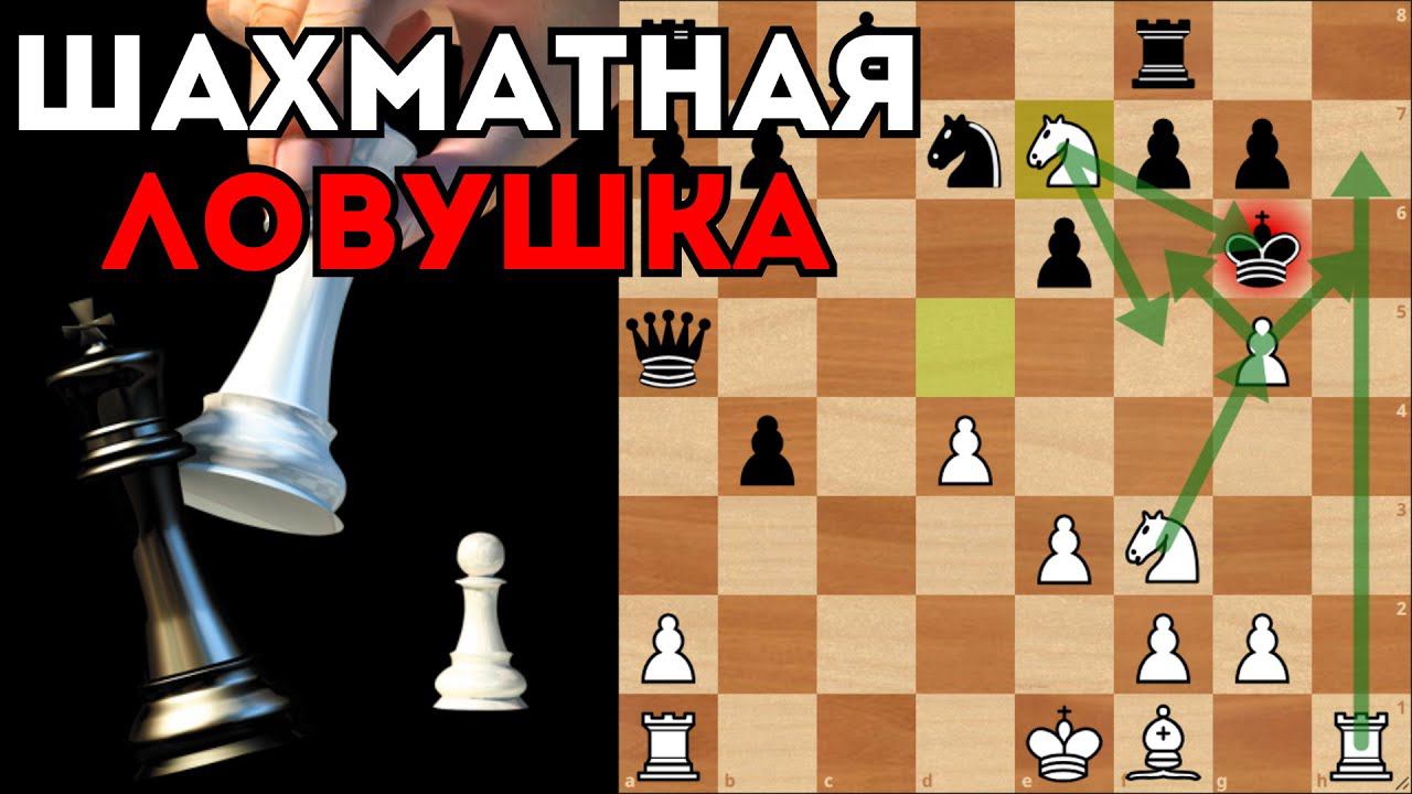 Мат за 14 ходов с жертвой Ферзя. Шахматная ловушка смотреть онлайн