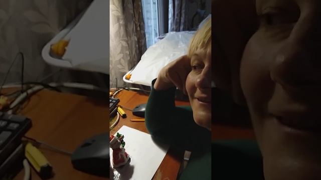 Новогодний букет от белочки?. Вместе с Дорой Люкс #НовогоднийбукетотбелочкивсестесДоройЛюкс смотреть онлайн