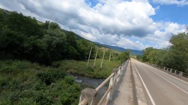 КРЫМСКИЙ ЛЕТНИЙ ЛЕС / ГРИБЫ / ЧЕРНАЯ РЕЧКА смотреть онлайн