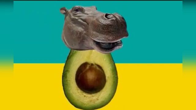 свинка блондинка, кот бутерброд, собака жвачка, кошка картошка, авокадо бегемот ( польская версия) смотреть онлайн