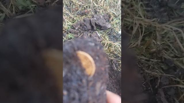 Советское золото"капаю с ломом" ??? смотреть онлайн