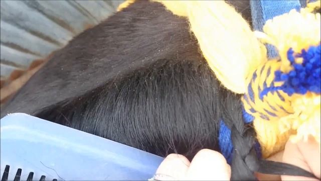 How to Plait a Traditional Shire Horse смотреть онлайн