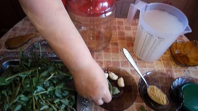 Готовка на Пикнике и Отдых на Природе