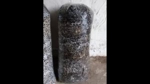 Пакеты для грибов Вешенка