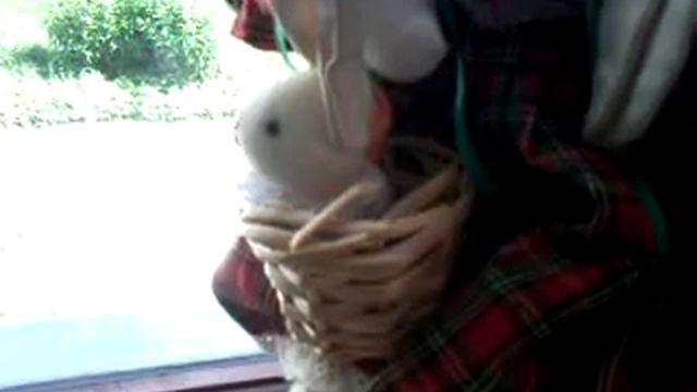 Моя Тильда смотреть онлайн