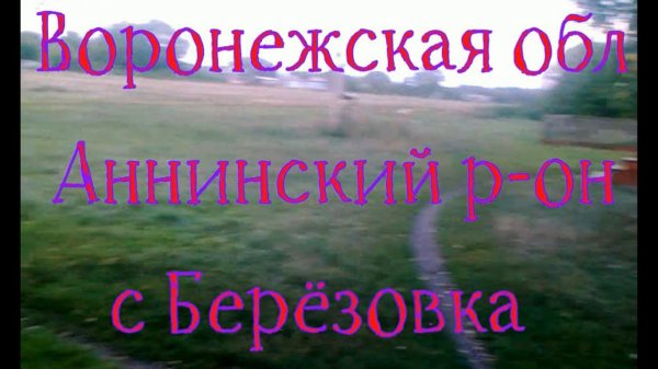 Деревенские будни с баяном 3