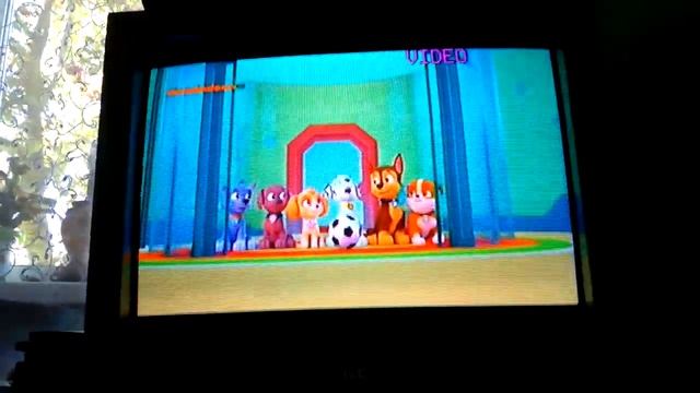 Проделки Маршала из Щенячего Патруля 1 сезон 1 серия смотреть онлайн