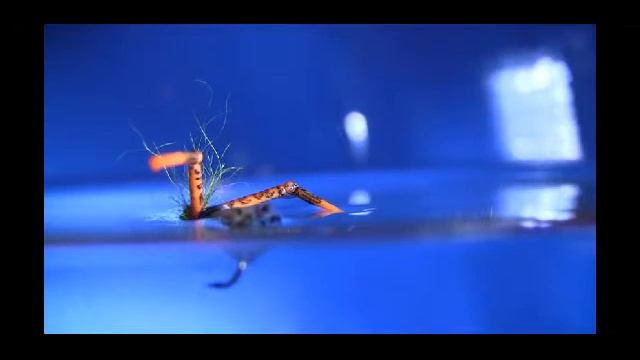 WATER TEST GMO Grasshopper / ВОДЕН ТЕСТ на ГМО Скакалец смотреть онлайн