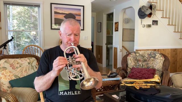 Strauss: Das Rosenband op.36, No. 1. COVID Video Project No. 292. смотреть онлайн