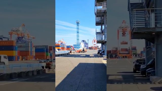 А вы знали, что происходит с контейнером после загрузки запчастей? Ответ в этом видео!