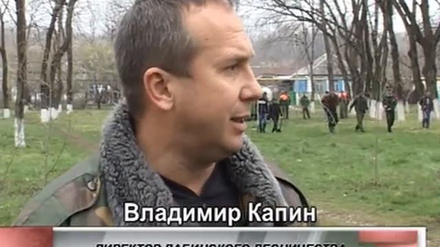 70 лип ко Дню посадки леса. смотреть онлайн