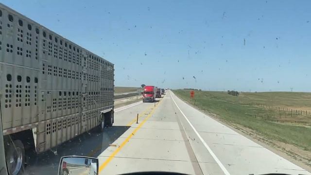 Дальнобой США. На тракстапах появились биде. А под колеса ходить не перестали. смотреть онлайн