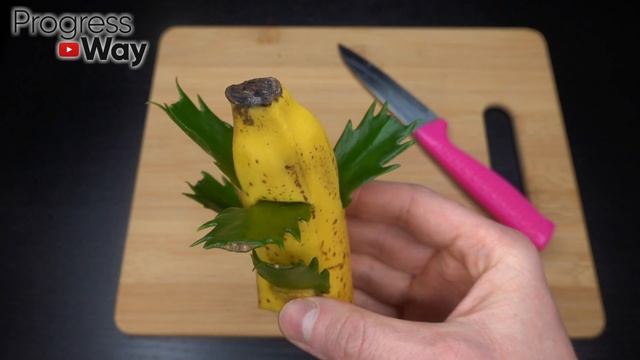 1 банан под любой домашний цветок и пышное цветение вам обеспечено! смотреть онлайн