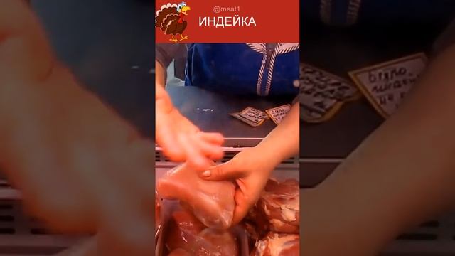 Анимационные Фильмы и Мультсериалы
