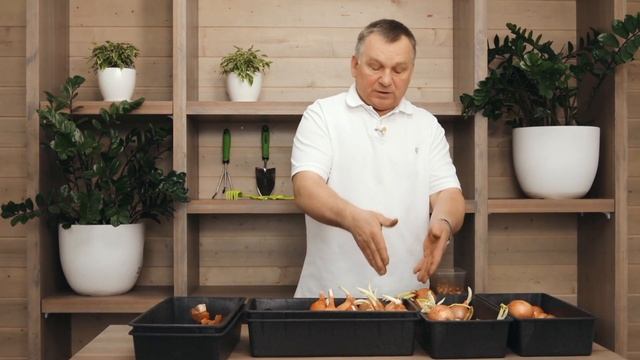 Посадка лука на зелень. РЕЗУЛЬТАТ в конце видео! смотреть онлайн