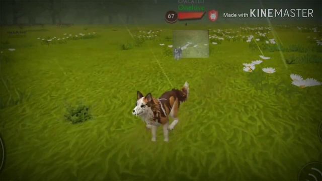 Не когда не заходи в WildCraft в 3 часа ночи страшилка смотреть онлайн