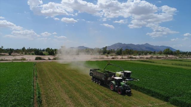 ROBINSON FARMS смотреть онлайн