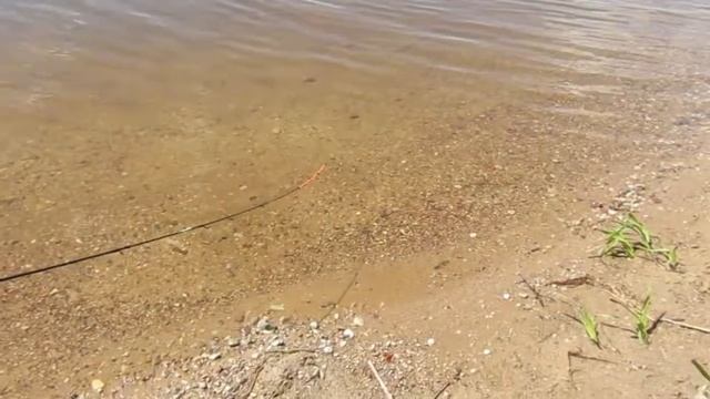 Video Test Canon PowerShot SX410 IS 40x Optical Zoom Юбилейка, Гродно. смотреть онлайн