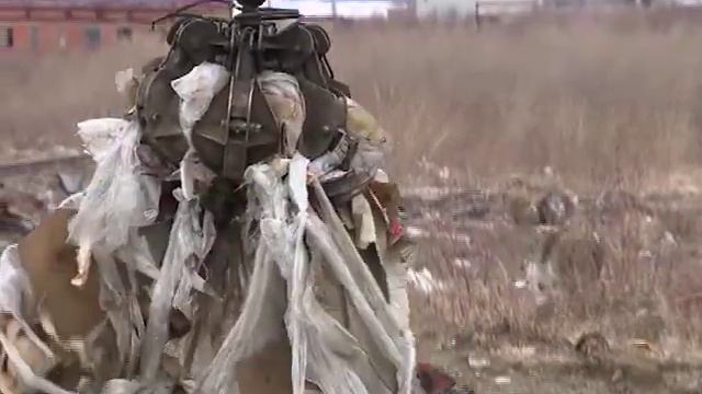 «Чистая страна» смотреть онлайн