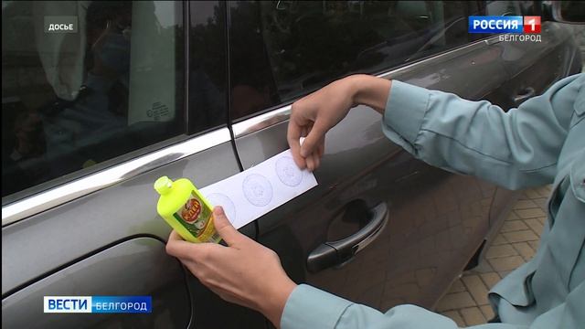 Свой профессиональный праздник отметили сотрудники ФССП смотреть онлайн