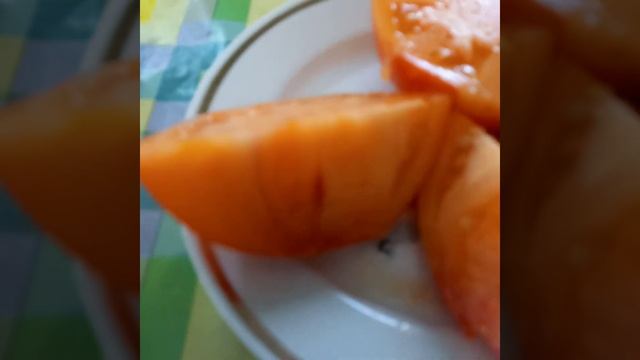 Томат Гигант Короля Желтый в разрезе. Биколор . Коллекционный сорт. смотреть онлайн