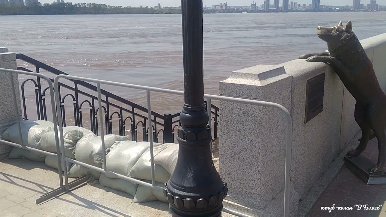 Благовещенск. Прогулка по набережной. 27.06.2021. Наводнение. смотреть онлайн