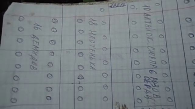 О СХЕМЕ УПЛОТНЕННОЙ ПОСАДКИ ТОМАТОВ В ТЕПЛИЦЕ ПОДРОБНО. смотреть онлайн