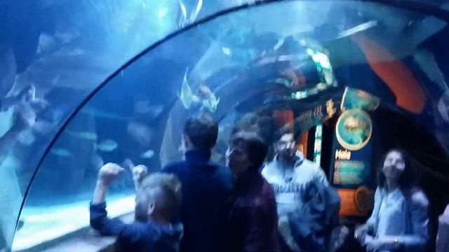 Аквапарк Ганновер Германия смотреть онлайн