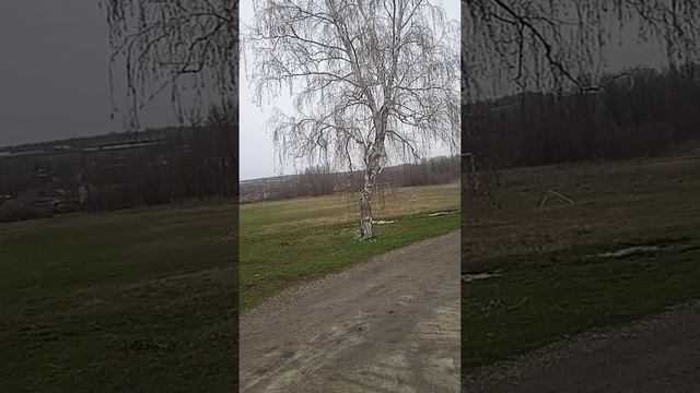 Прием из нлп что используют продавцы. Как вас зомбируют. смотреть онлайн