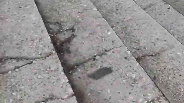 Я подвернул ногу смотреть онлайн