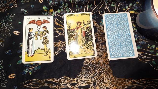 Таро прогноз на 25 декабря?( утро день вечер) смотреть онлайн