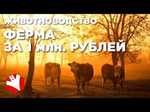 Ферма за 1 млн. рублей | Мясное животноводство | Фермерское хозяйство с нуля