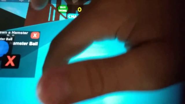 Pоблокс, умер котик Симулятор хомяка.../Roblox Dead Cat HamsterSimulator... смотреть онлайн