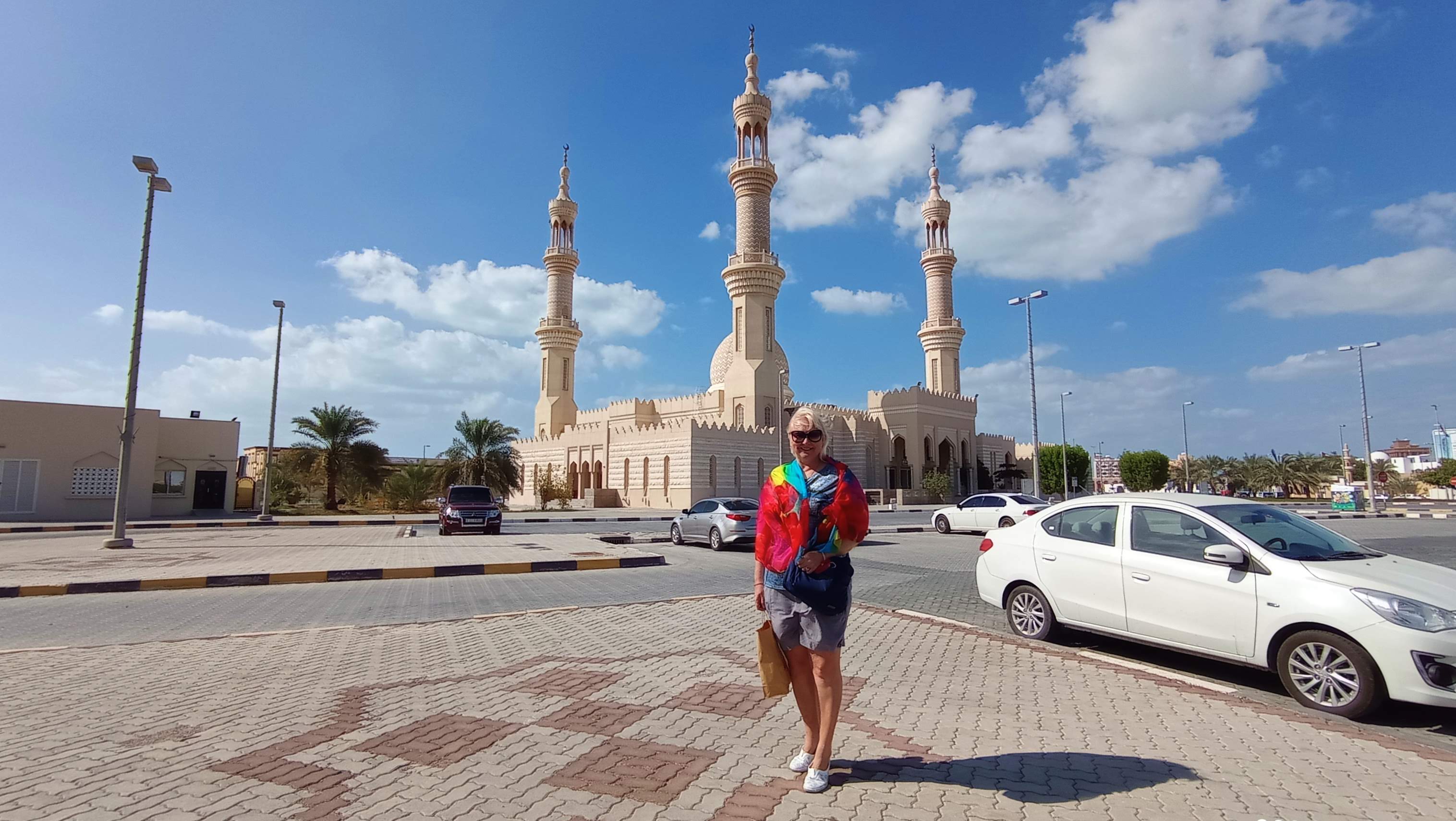 ОАЭ  (6 - 16.02.2022)- моя поездка- клип