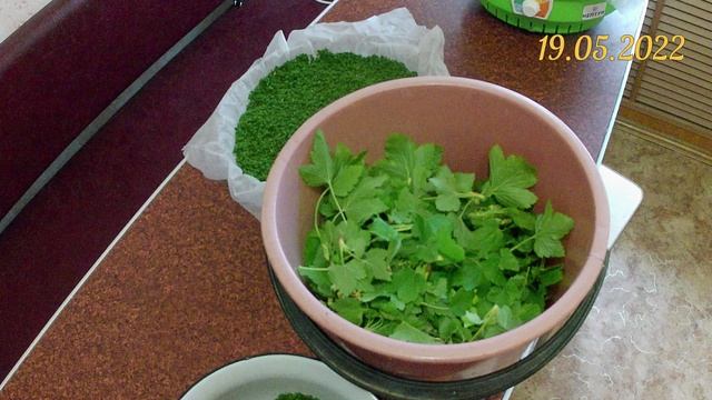 Заготовка чёрной смородины на чай. Фиточай из листьев и цветов чёрной смородины смотреть онлайн