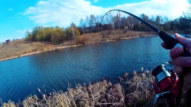 Ловля щуки и окуня на спиннинг ранней весной в Подмосковье смотреть онлайн
