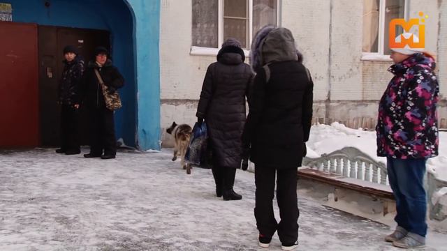 Новокузнечане ссорятся из-за будки для бродячей собаки смотреть онлайн