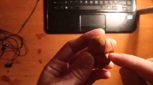 Как лепить лицо голову из пластилина-пропорции _уроки 2020 скульптура