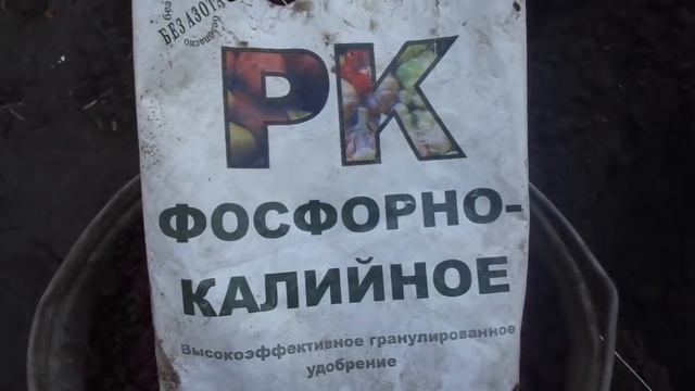 ЧТО НЕОБХОДИМО ДОБАВЛЯТЬ В ЛУНКИ ПРИ ВЫСАДКЕ ТОМАТОВ В ТЕПЛИЦУ. Ольга Чернова. смотреть онлайн