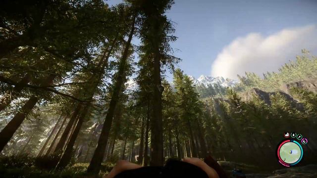 Raccoons in Sons of the Forest 1.0 смотреть онлайн