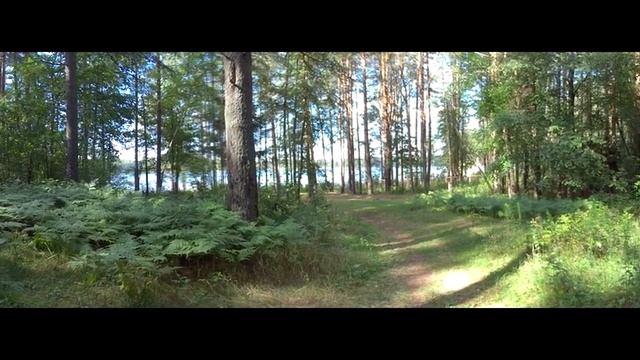 Крестецкий район Новгородской области (48:9) смотреть онлайн