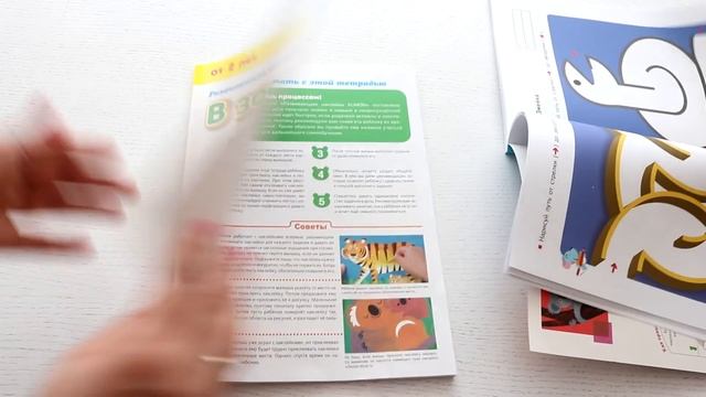 Шоу и Концерты