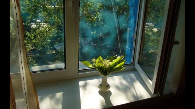 Чистые окна. Отличный раствор для чистоты Ваших окон. смотреть онлайн